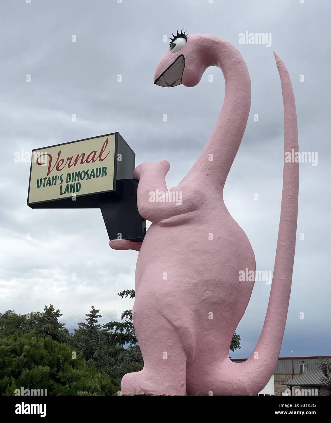 A large ”life size” pink dinosaur on the Main St. in Vernal, Utah, USA welcomes all visitors to “Utah’s Dinosaur Land. - Smartphone Captured Stock Image