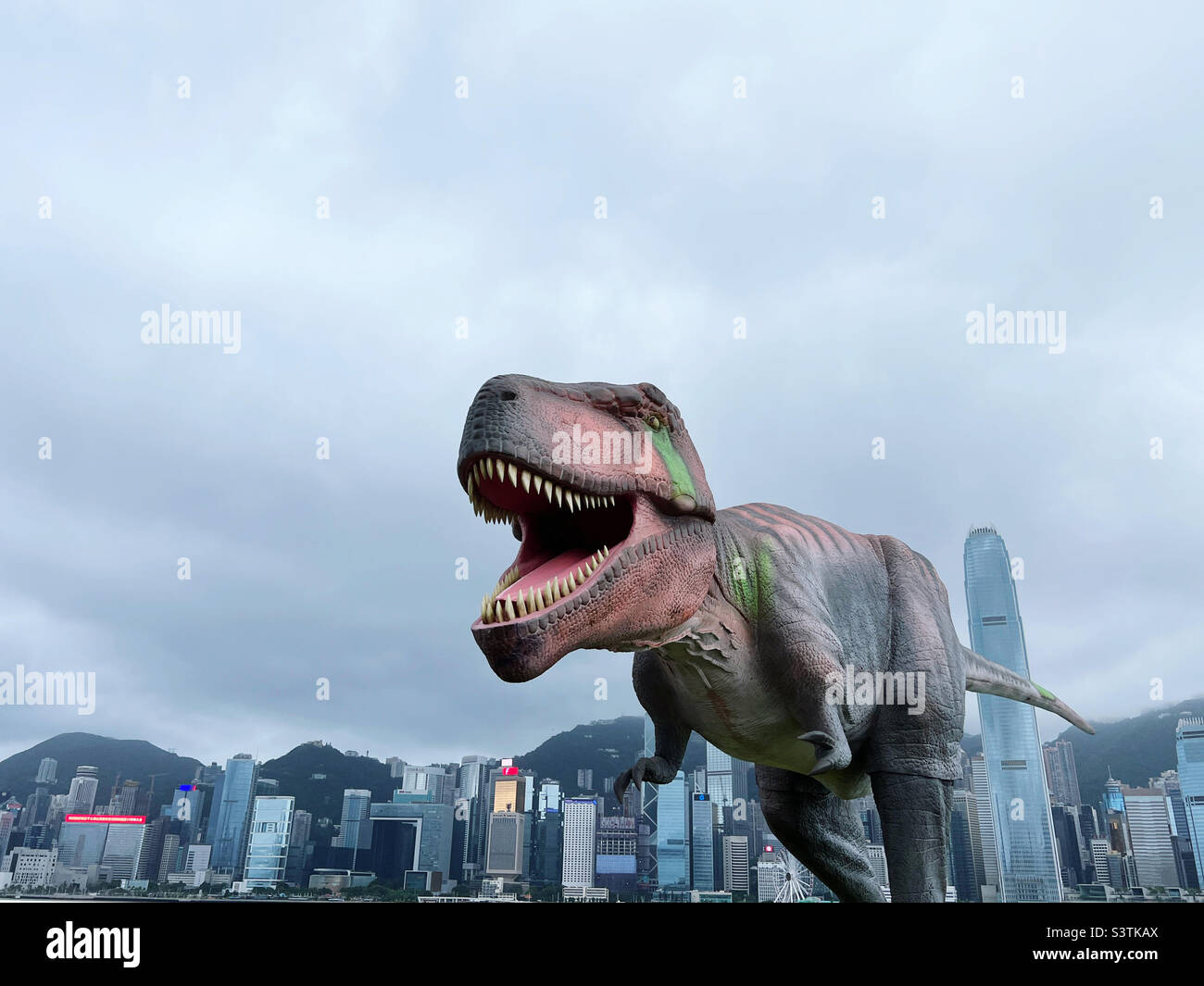Dinosaur in Hong Kong - Smartphone Captured Stock Image