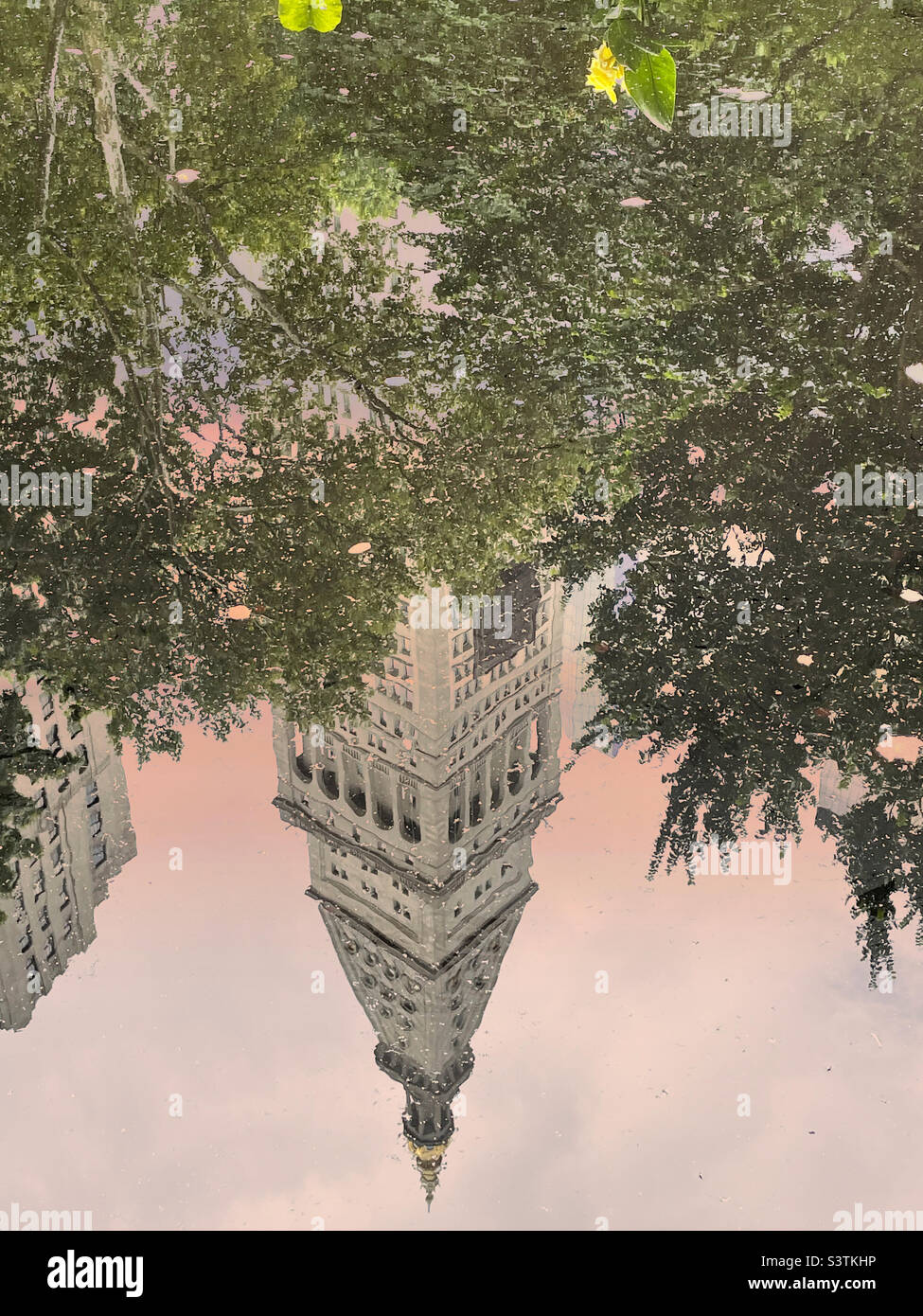 Pool reflection of the Metropolitan Life Tower in the fountain pond of Madison Square, Park, flatiron District, New York City, 2022 , USA - Smartphone Captured Stock Image
