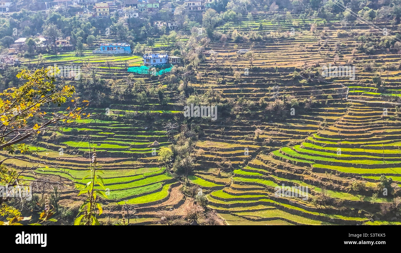 Set in the foothills of the Dhaula Dhar Ranges of the Mountains and at the altitude of 7,000 feet, Dalhousie is one of the most charming hill station in India. Stock Photo