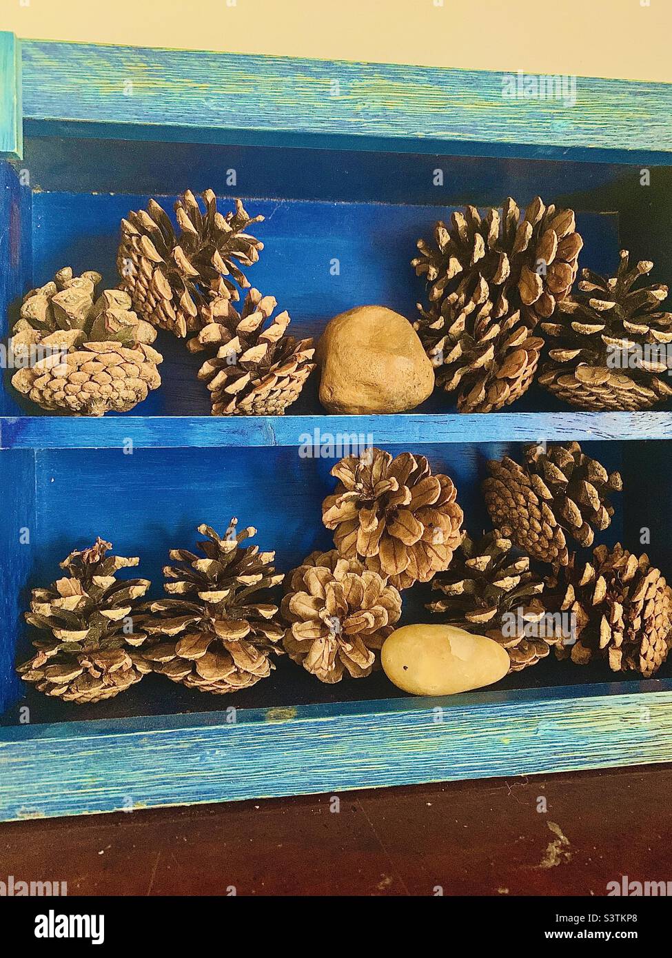 Natural decor. Pine cones on blue shelves Stock Photo