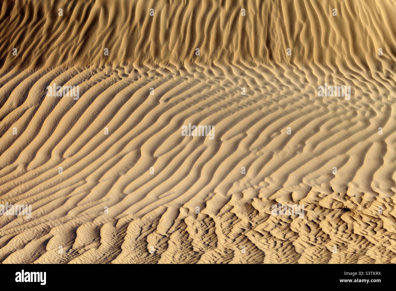 Abstract sand dunes desert texture, natural background ideal for intro Stock Photo