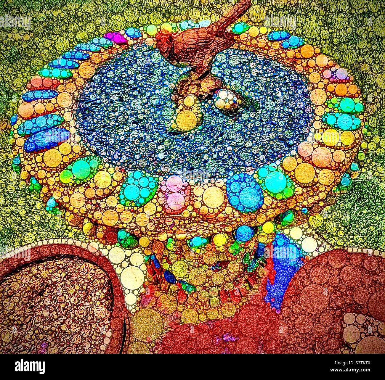 Decorative backyard bird bath made of colorful stones. The circular abstract textured effect has been digitally added. - Smartphone Captured Stock Image