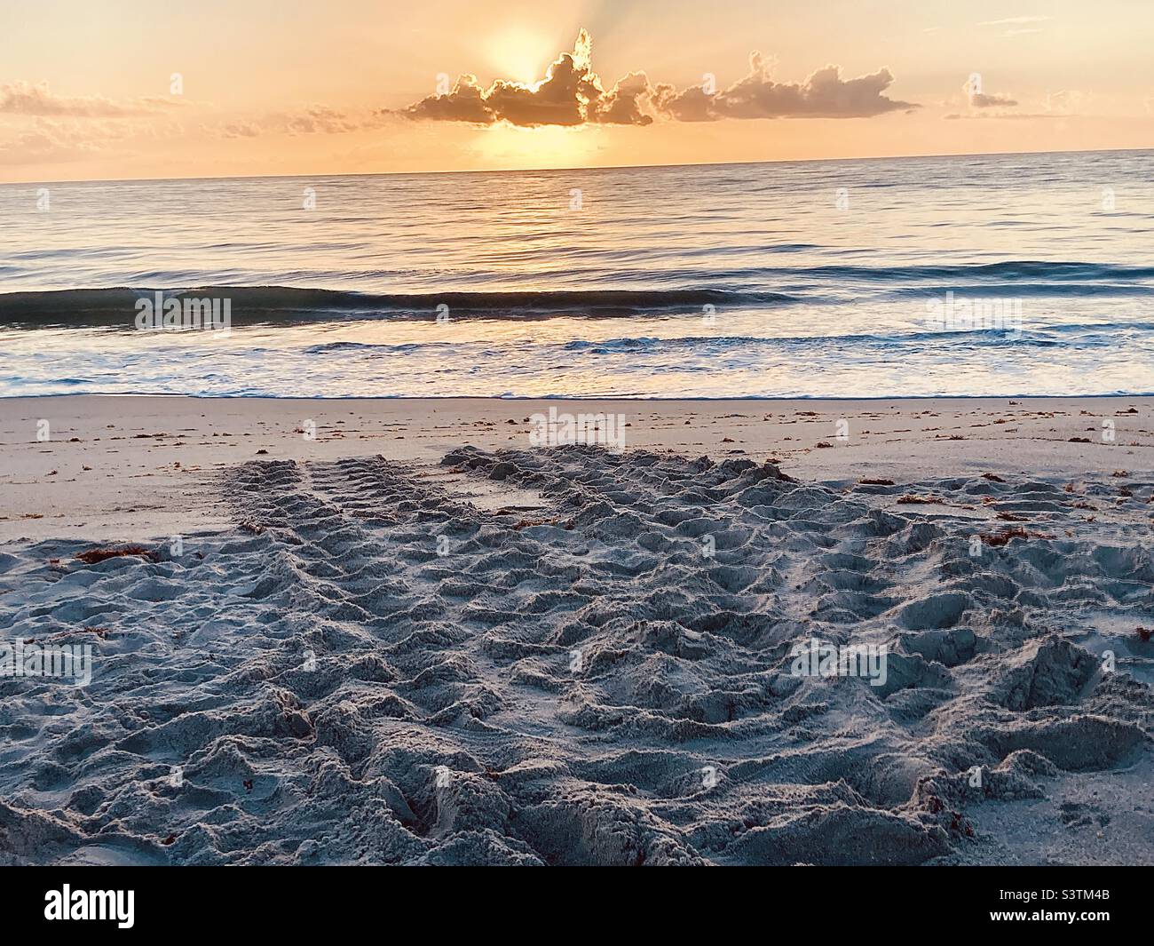 Sunrise at the ocean over nesting sea turtle tracks. - Smartphone Captured Stock Image