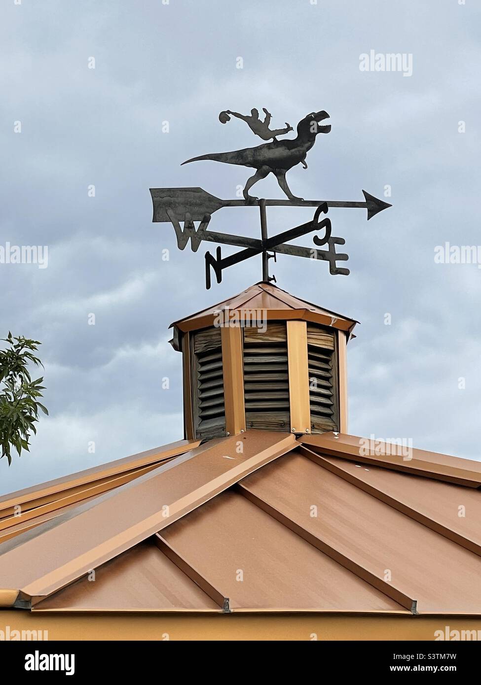 This unusual weathervane, located in Vernal, Utah’s Dinosaur Land, you see a cowboy “bronco busting” a T-Rex dinosaur atop the usual arrow and geographic directions. - Smartphone Captured Stock Image