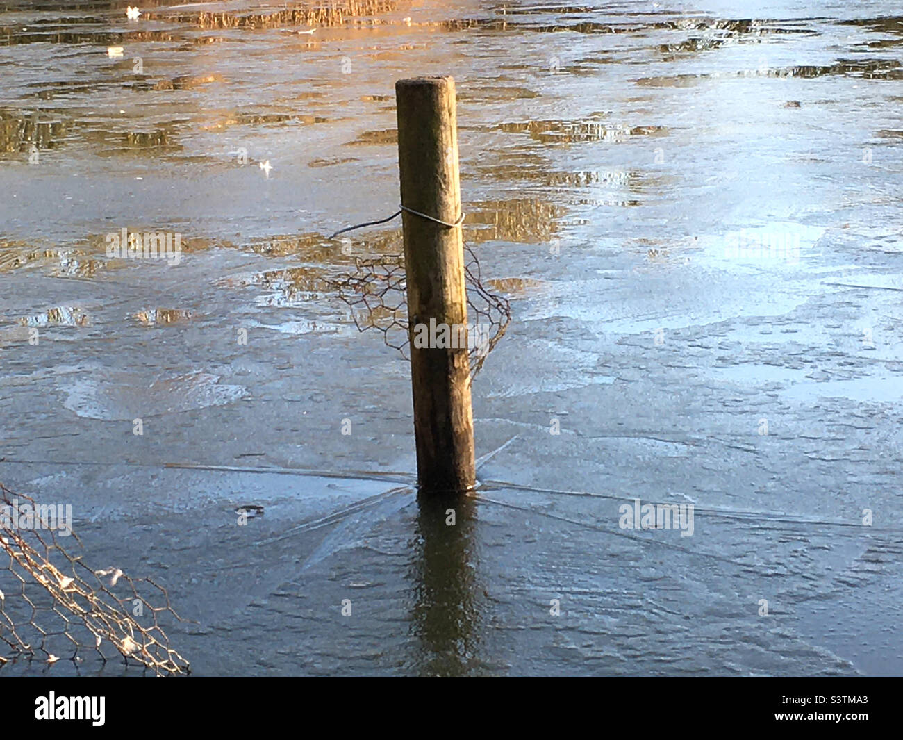 Frozen pond - Smartphone Captured Stock Image