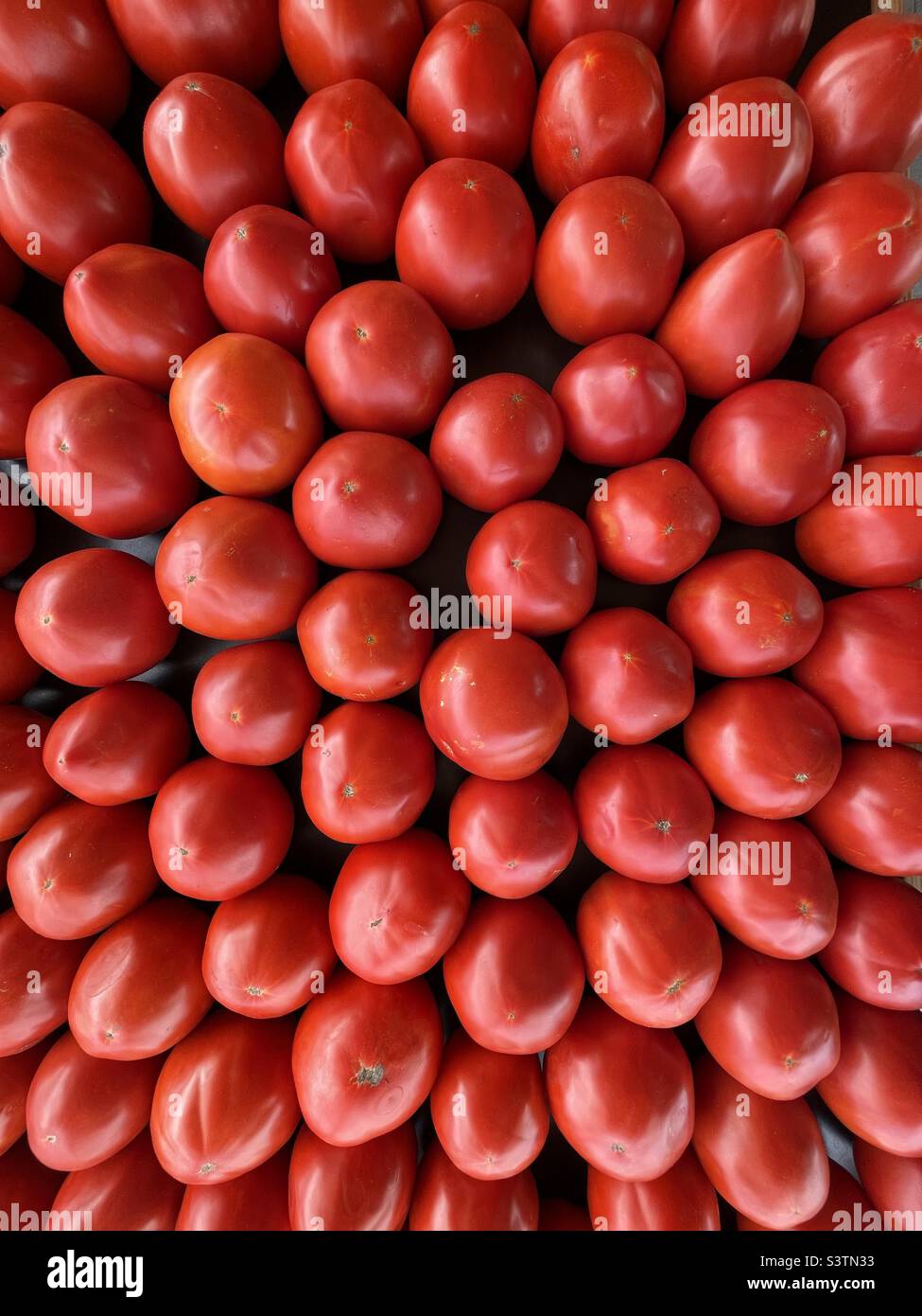 Tomatoes at a produce stand. Red tomatoes. Stock Photo