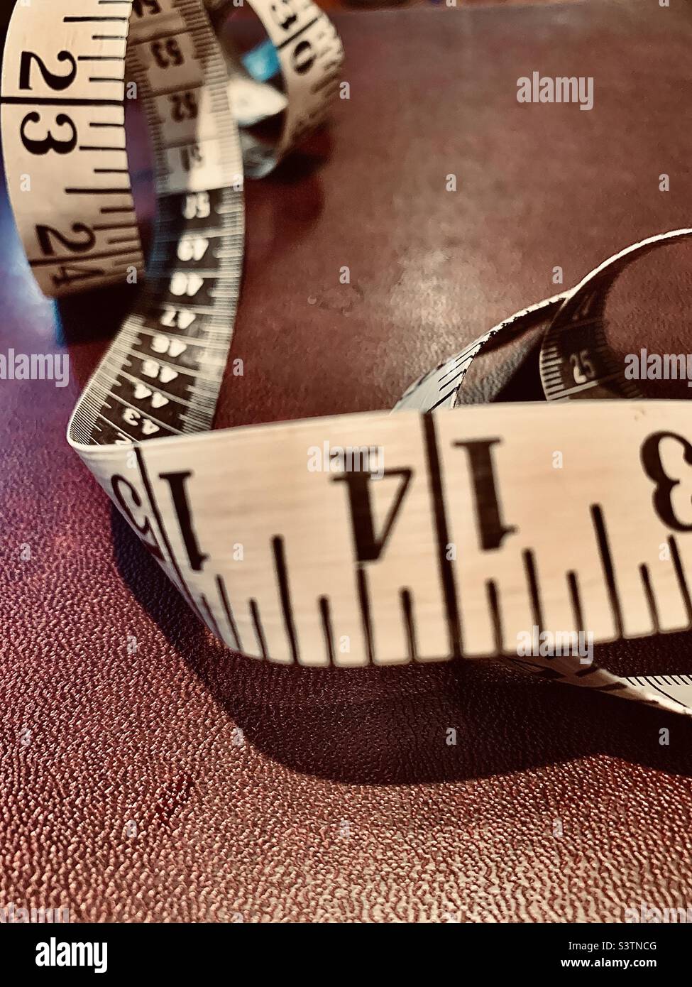 Unfuckable Fuckable Measuring Tape