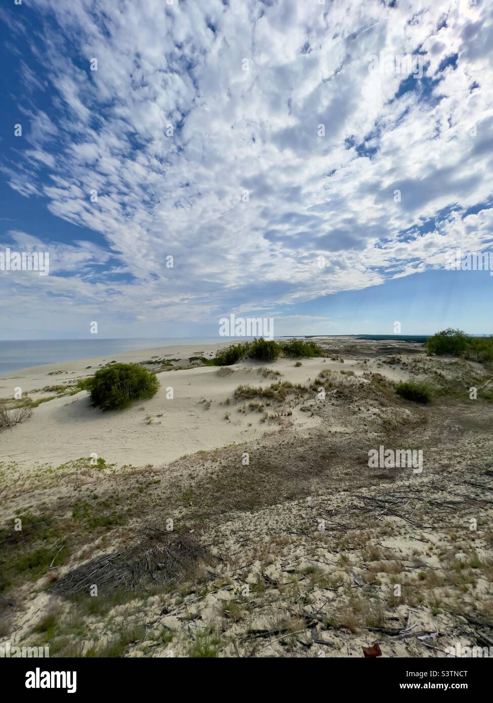 inspiring and stunning natural backdrop of Curonian Spit in Kaliningrad region.  blue sky with clouds, Baltic Sea in distance and yellow sand as a vacation or ecology concept.  sand dunes Stock Photo