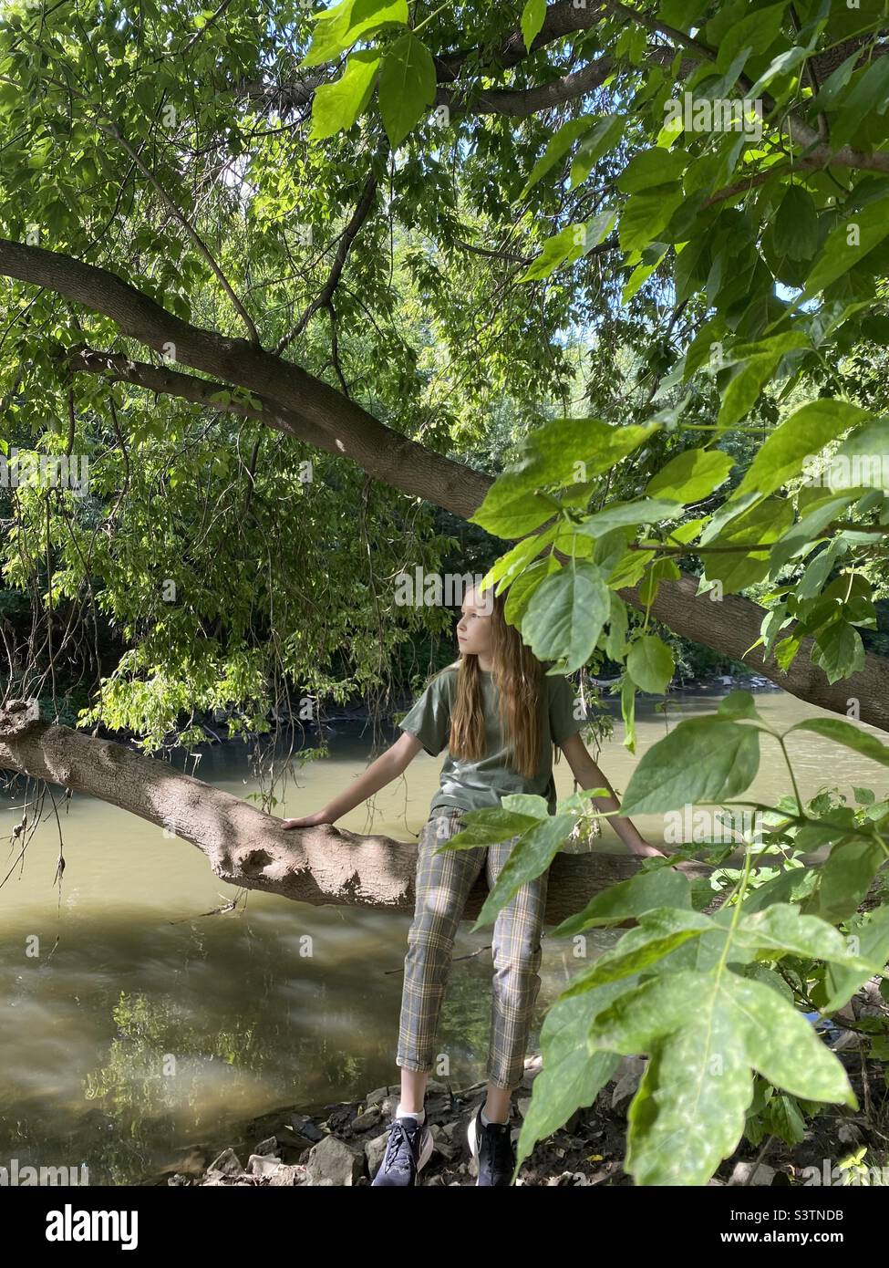 teenage girl with long white hair on tree by river and looks into distance, summer outdoors. sun rays illuminate natural background.mental health, childhood concept.diverse people,countryside Stock Photo