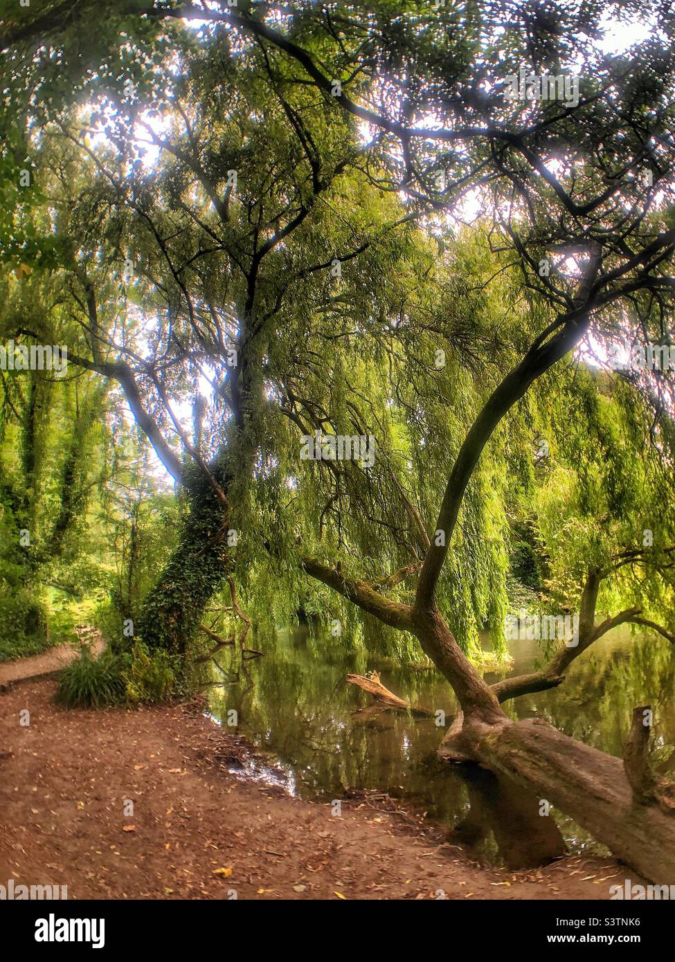 River Itchen Navigation footpath in Hampshire United Kingdom - Smartphone Captured Stock Image