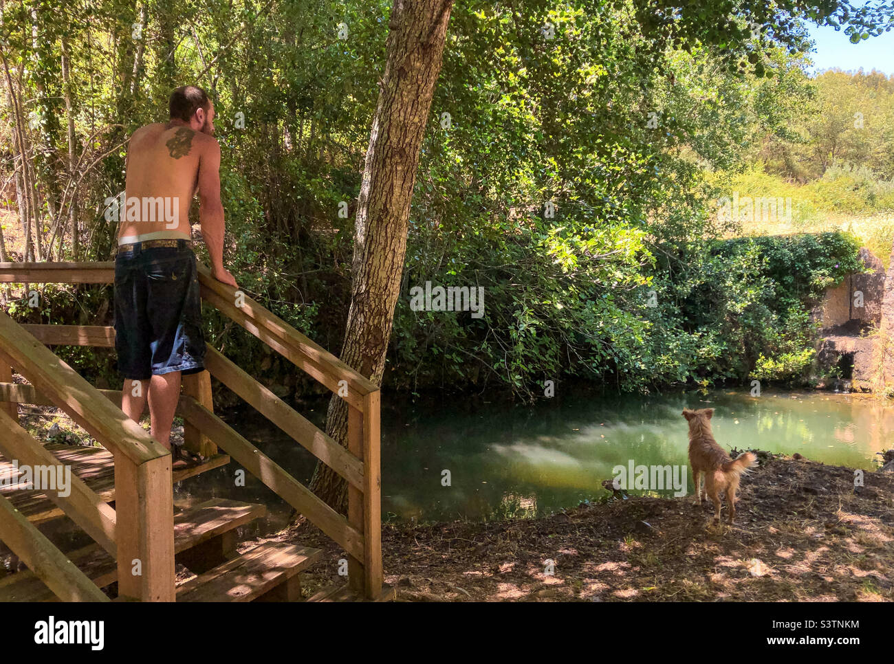 A man and his dog relax at a shady waterhole during a heatwave in Portugal - Smartphone Captured Stock Image