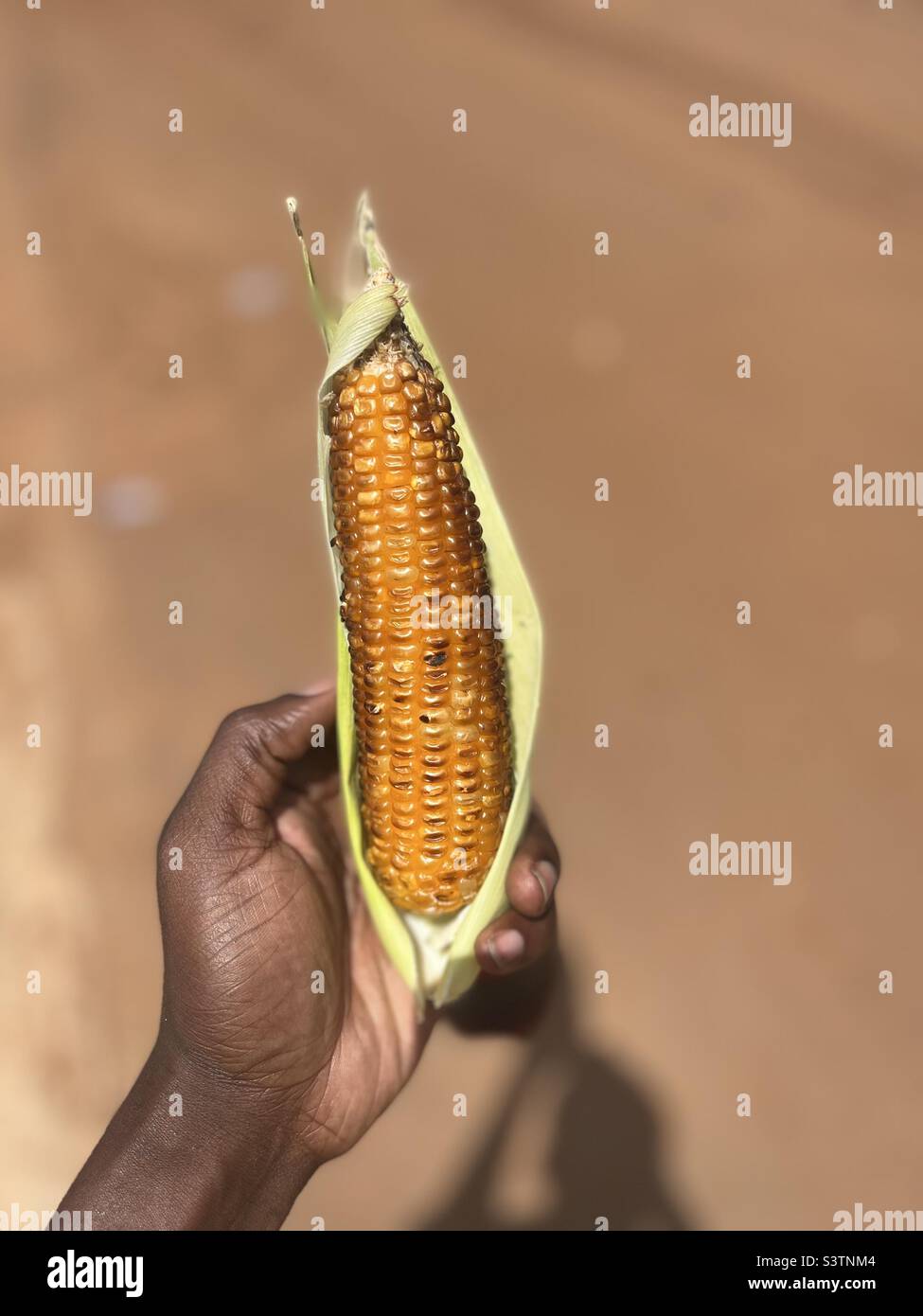 Local snack in Ghana; roasted fresh maize/corn Stock Photo Alamy