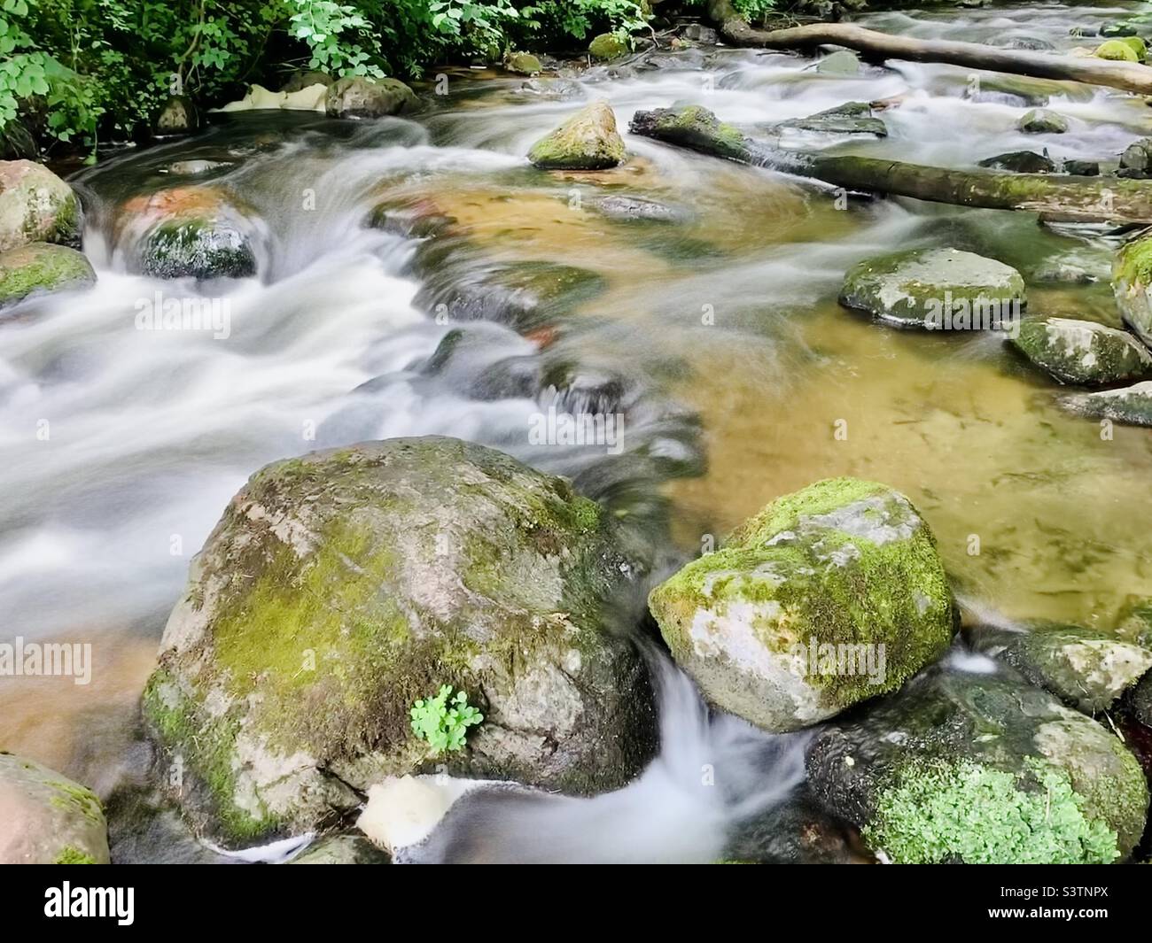 Slow motion water stream in mountain river in summer - Smartphone Captured Stock Image