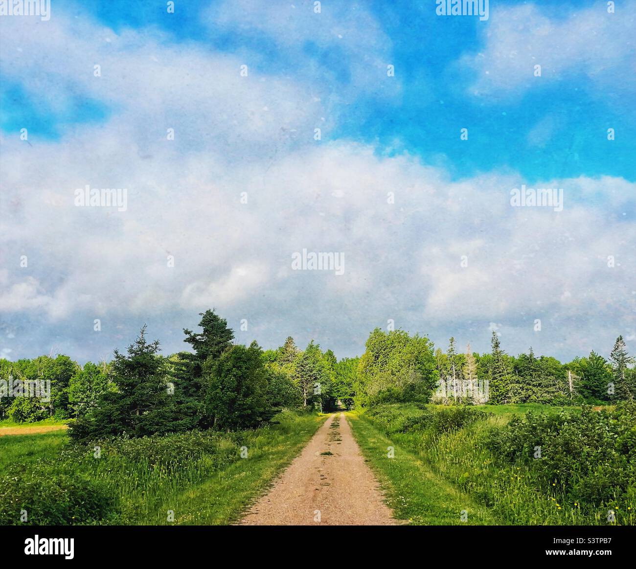 Hiking trail through a rural farmland landscape. - Smartphone Captured Stock Image