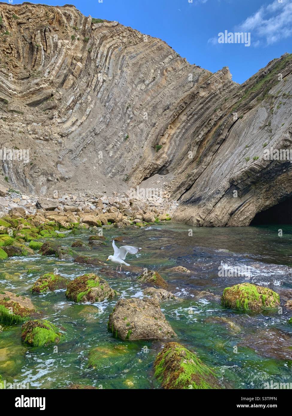 Rock formations at Lulworth cove Dorset Stock Photo