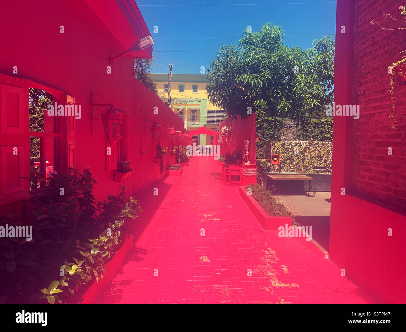 Paseo de dona blanca hires stock photography and images Alamy