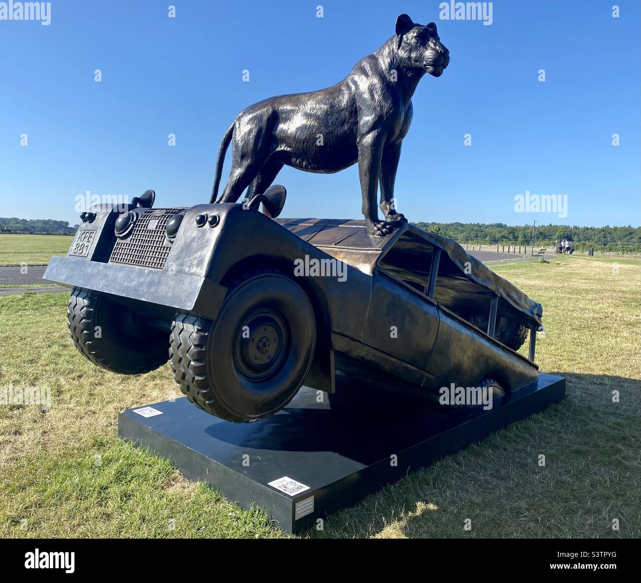 Born free foundation lion sculptures at Clifton downs bristol. - Smartphone Captured Stock Image