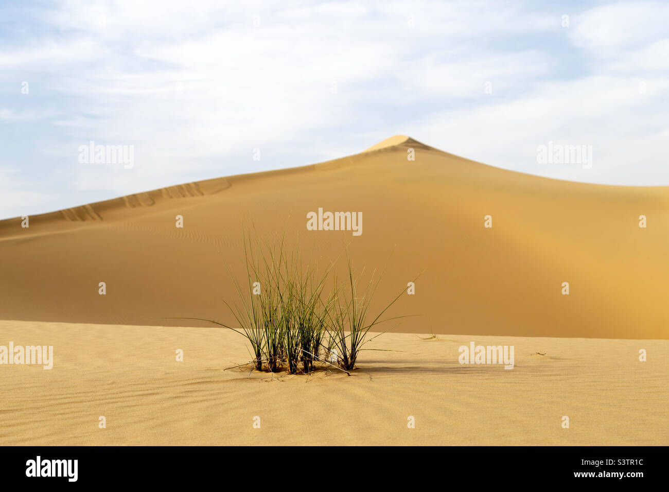 Enchanting desert landscape, minimalism - Smartphone Captured Stock Image