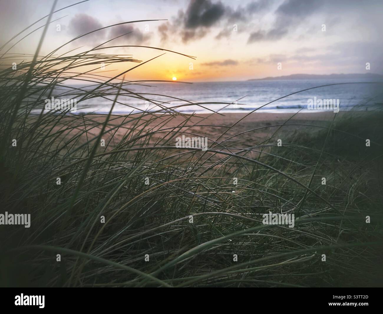 Sunset through the sand dunes - Smartphone Captured Stock Image