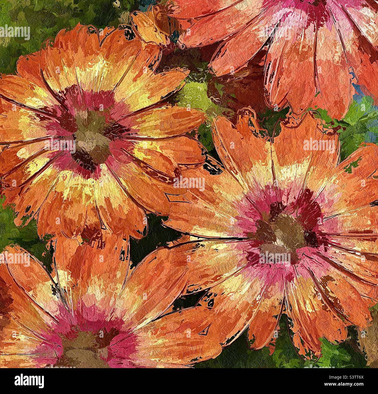 Orange Daisies in a backyard garden are rendered as an abstract, textured painting via the IOS app Glaze. - Smartphone Captured Stock Image