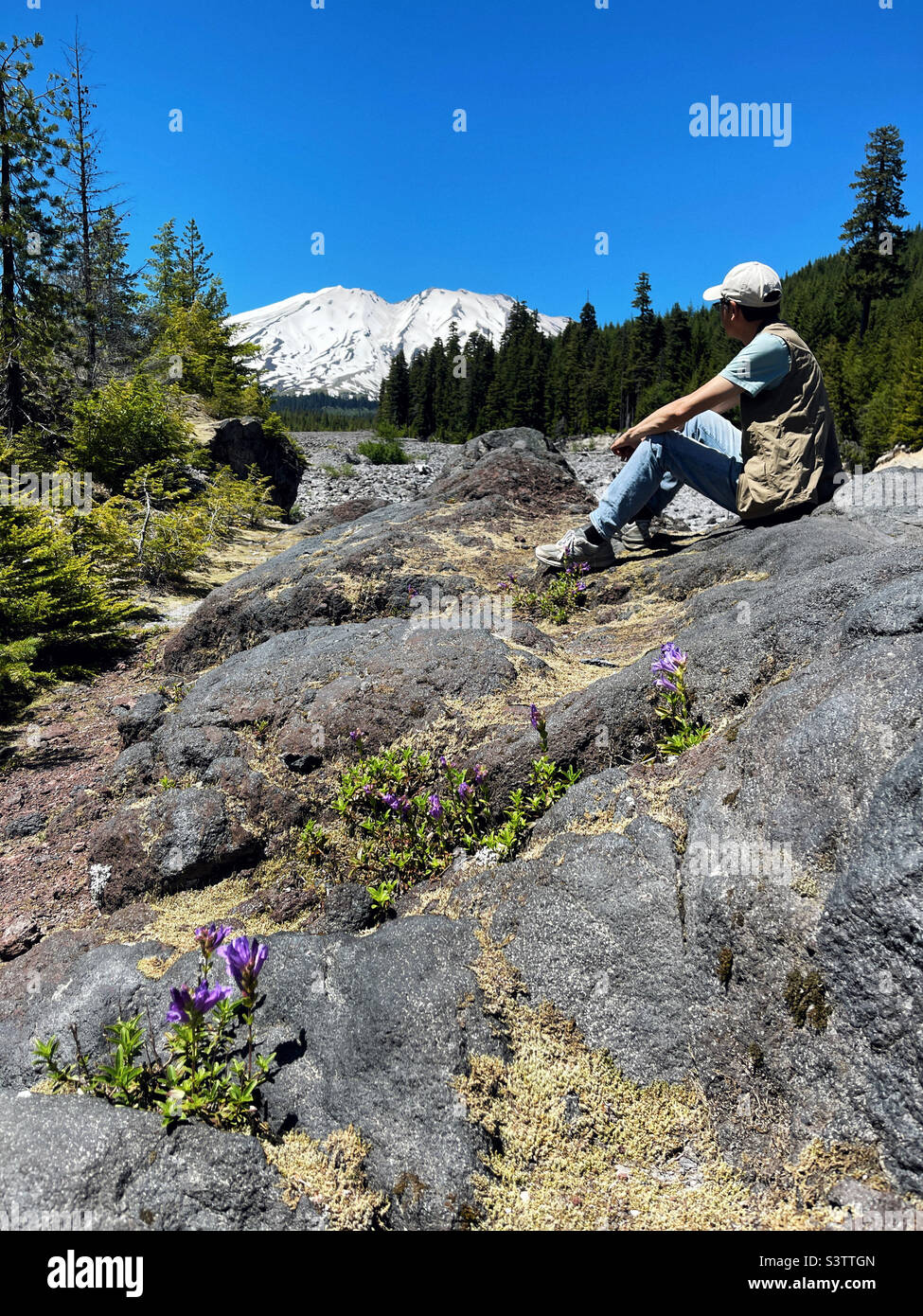 Male hiker resting on the rock with view of snow capped Mt St Helen Stock Photo