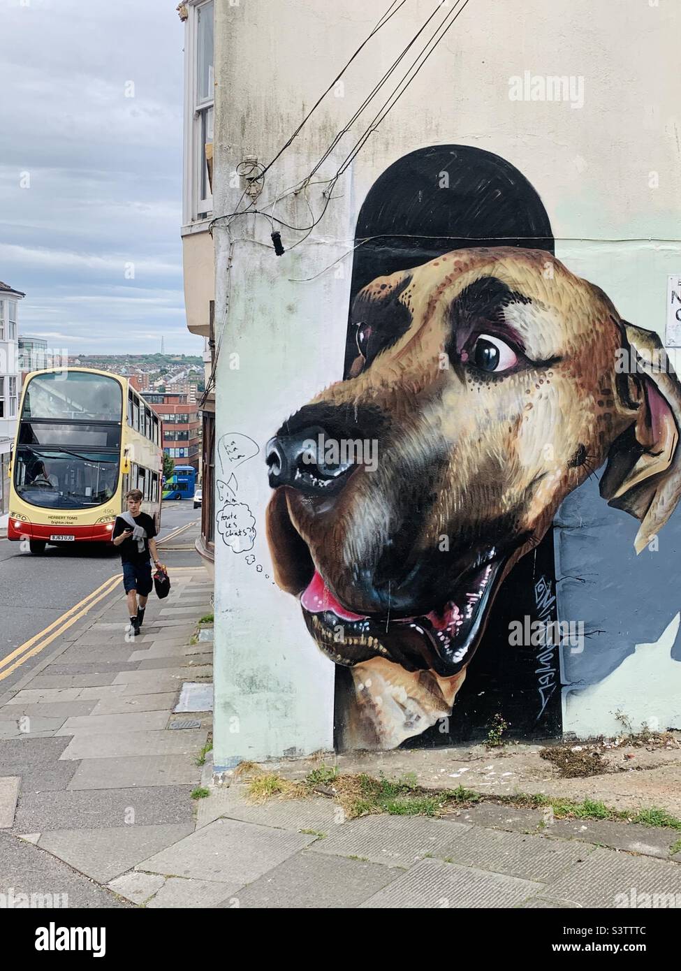 Goofy dog street art Brighton Stock Photo