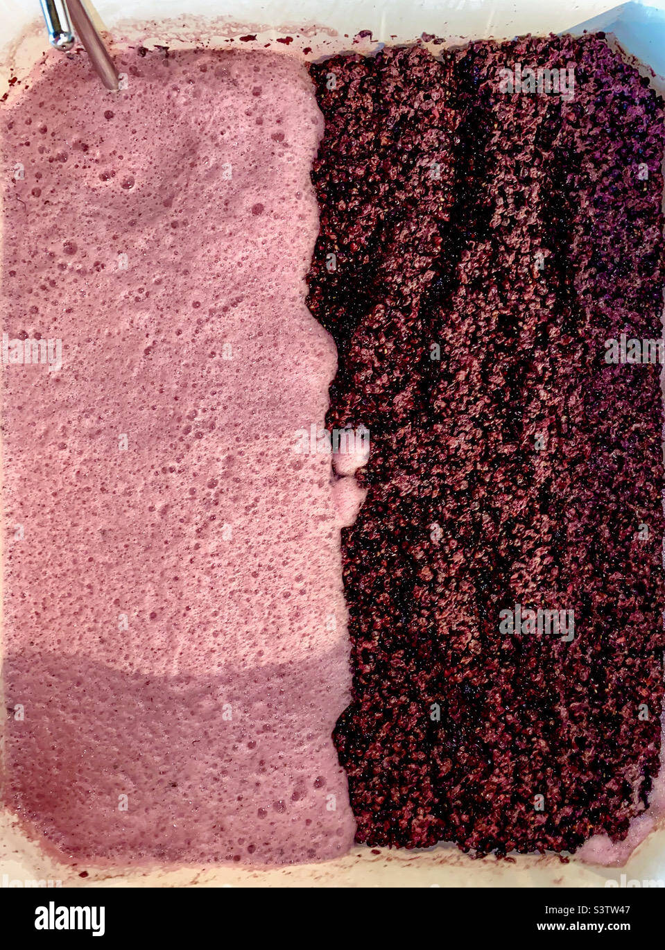 Split view of fermenting red grapes before and after punch down Stock