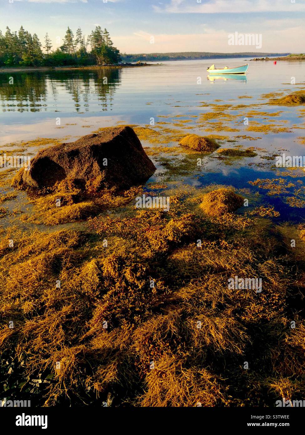 Sunrise at low tide, from a cove of the Atlantic Ocean, Halifax, Canada. A blue boat moored beyond the shallows. Seaweed and a big rock glistening in the foreground. Stock Photo
