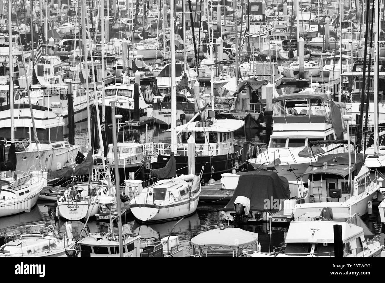 Dozens of boats moored at harbor in Santa Barbara, creating abstract pattern of masts and hulls. Black and white Stock Photo