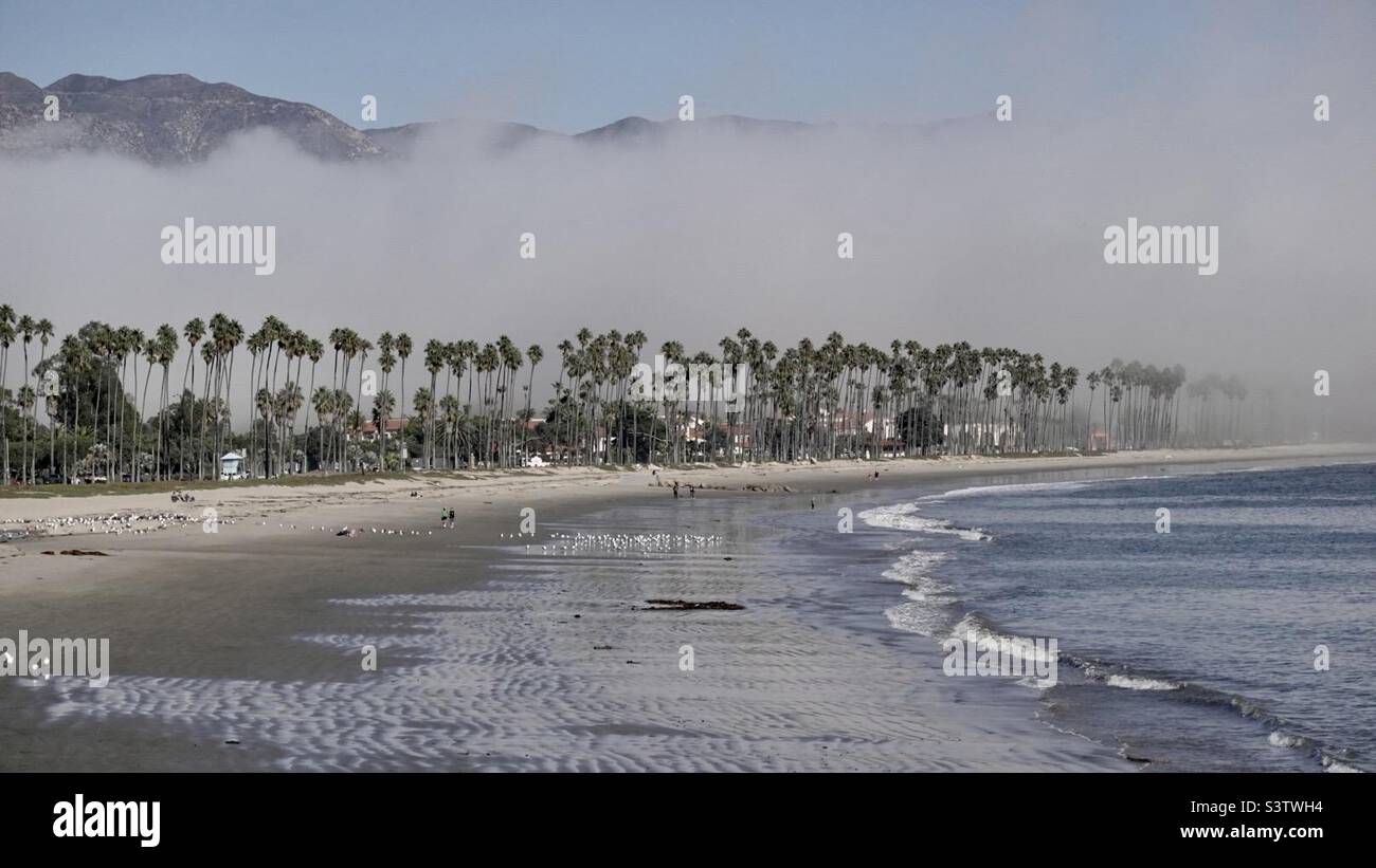 Sea mist rolling in across the beach and palm trees, obscuring distant mountains in Santa Barbara, California. Stock Photo