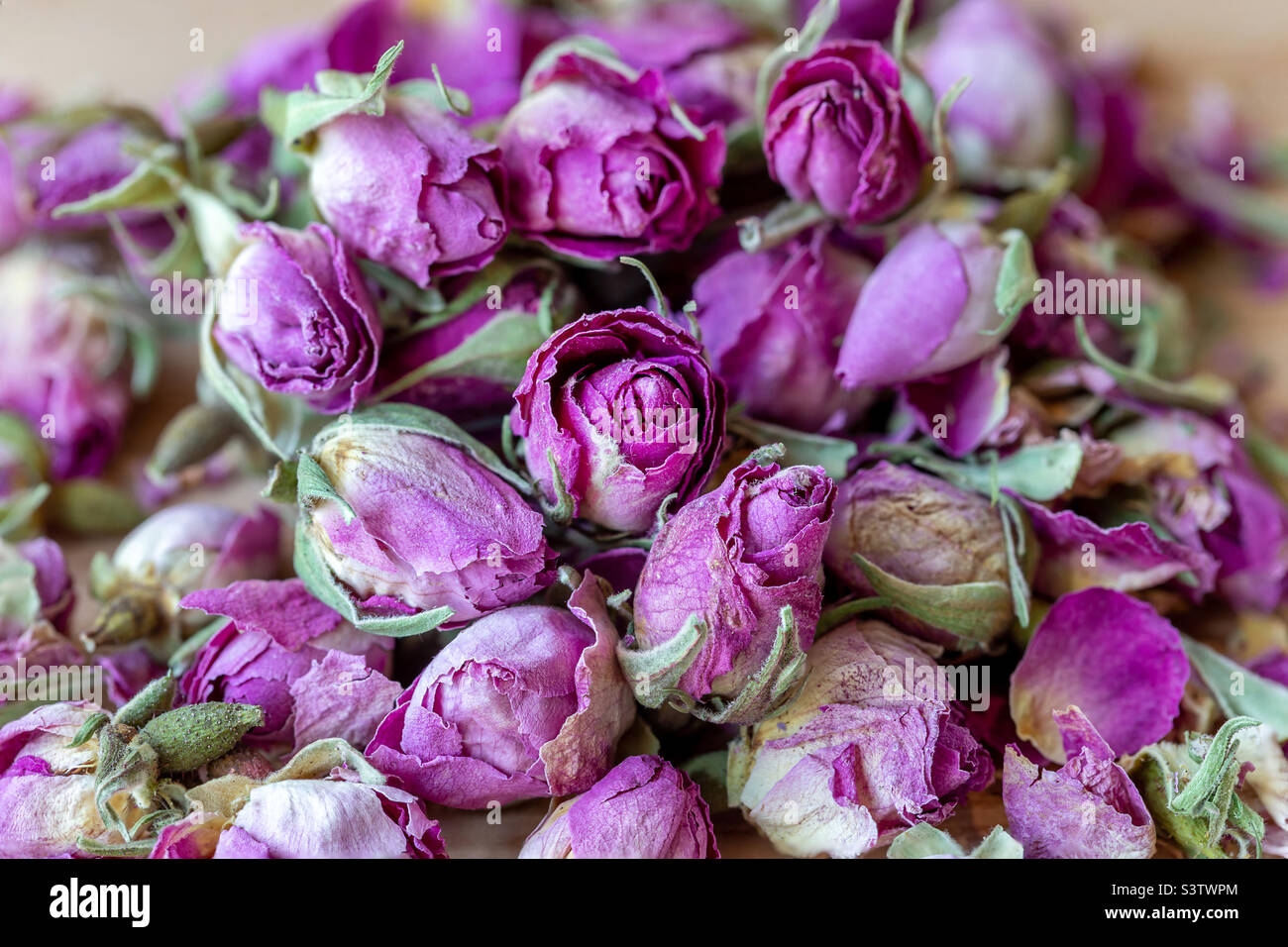 Dried rose tea buds pile, closeup macro. Herbal tea collection Stock