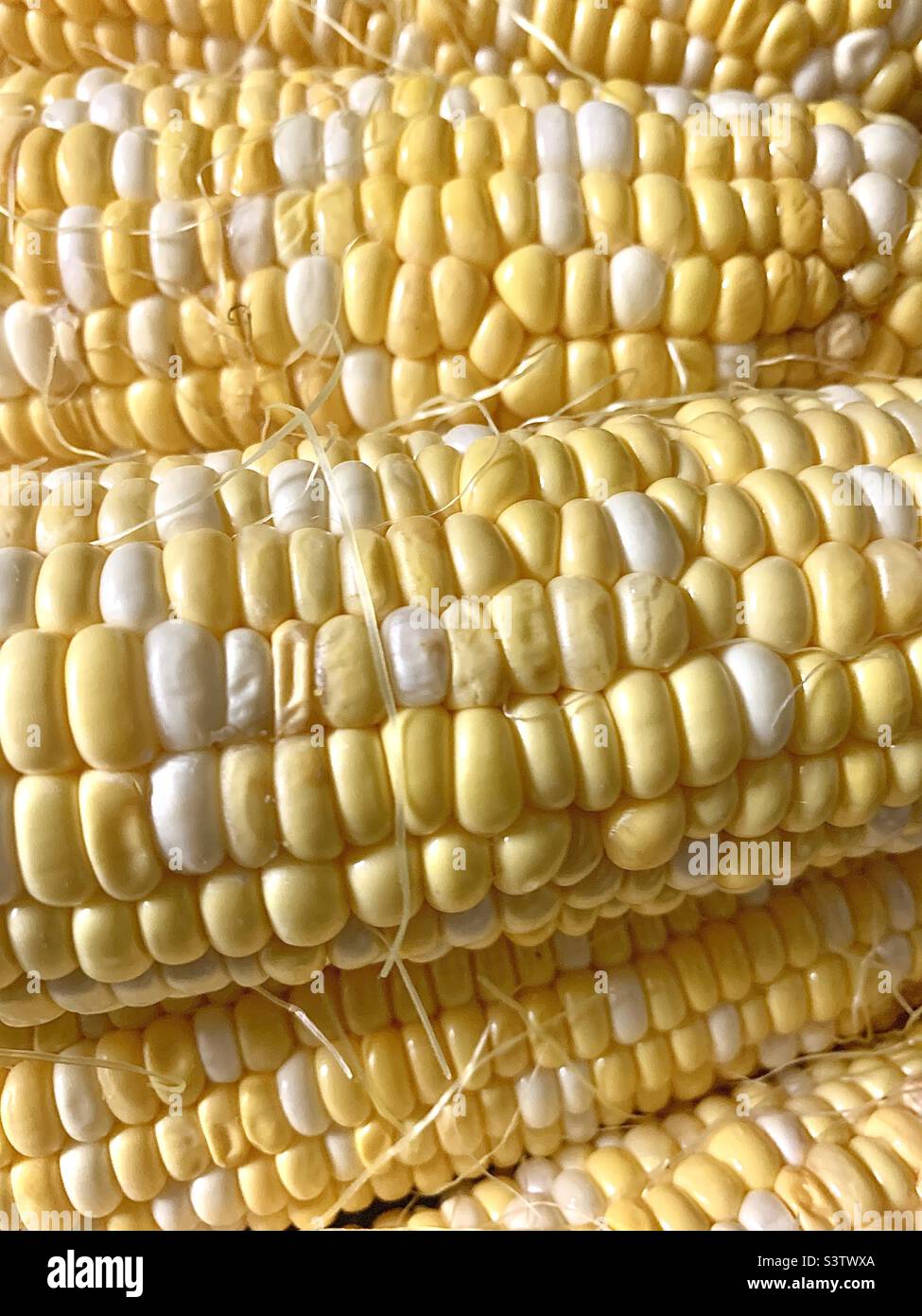 Fresh corn on the cob Stock Photo