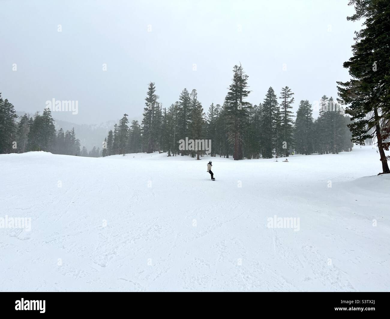 Wide view ski slopes on Mammoth Mountain, California, with anonymous snowboarder heading downhill. Overcast day Stock Photo