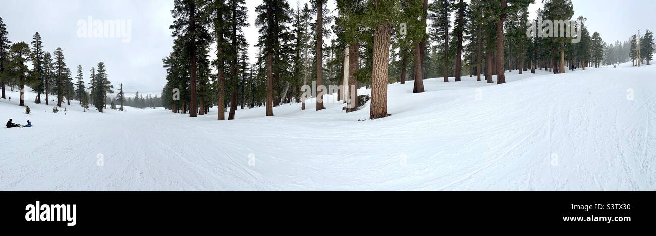 Panoramic view of ski slopes on Mammoth Mountain, California, with a few anonymous skiers and snowboarders visible. Overcast day Stock Photo