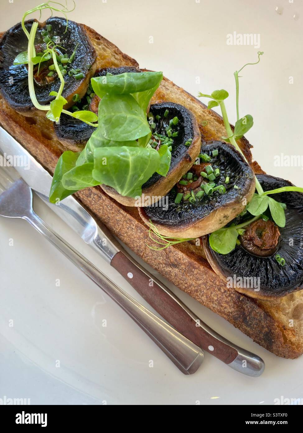 Breakfast treat, mushrooms on sourdough toast. - Smartphone Captured Stock Image