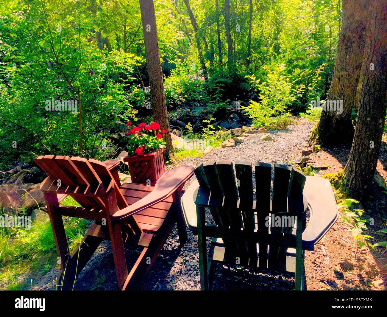 Woods 2024 canada chair