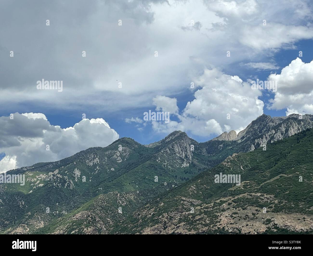 A summer’s day looking up at the Wasatch mountains, the western edge of the greater Rocky Mountain range, just east of the Salt Lake valley in Utah, USA. Stock Photo