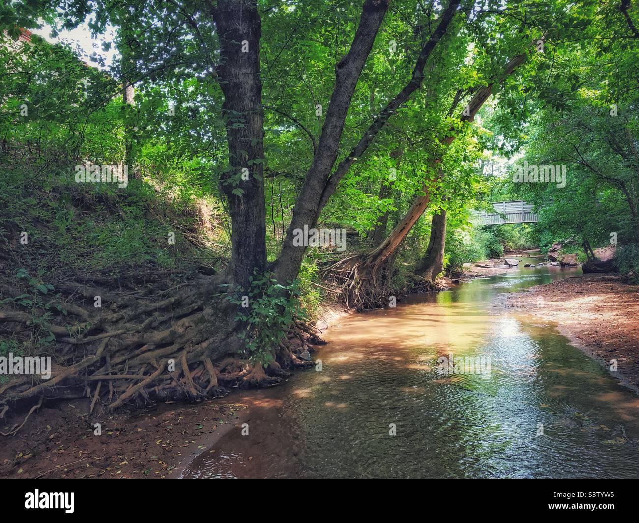 Creek with bridge Stock Photo