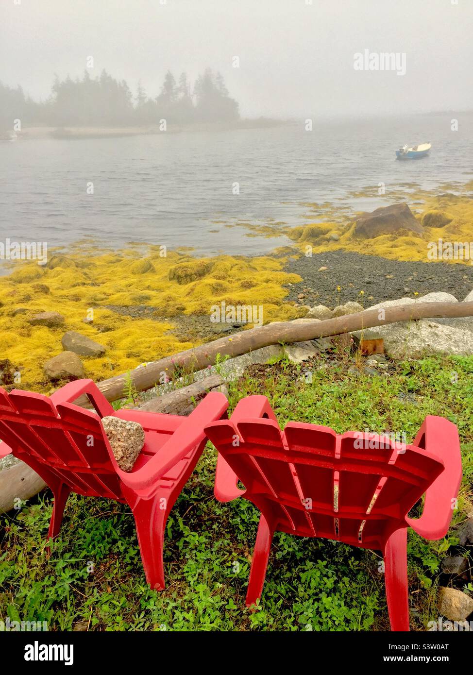Waiting for the fog to lift, Halifax, Nova Scotia. Brightening air. Fog lifting. Sunny day ahead - Smartphone Captured Stock Image