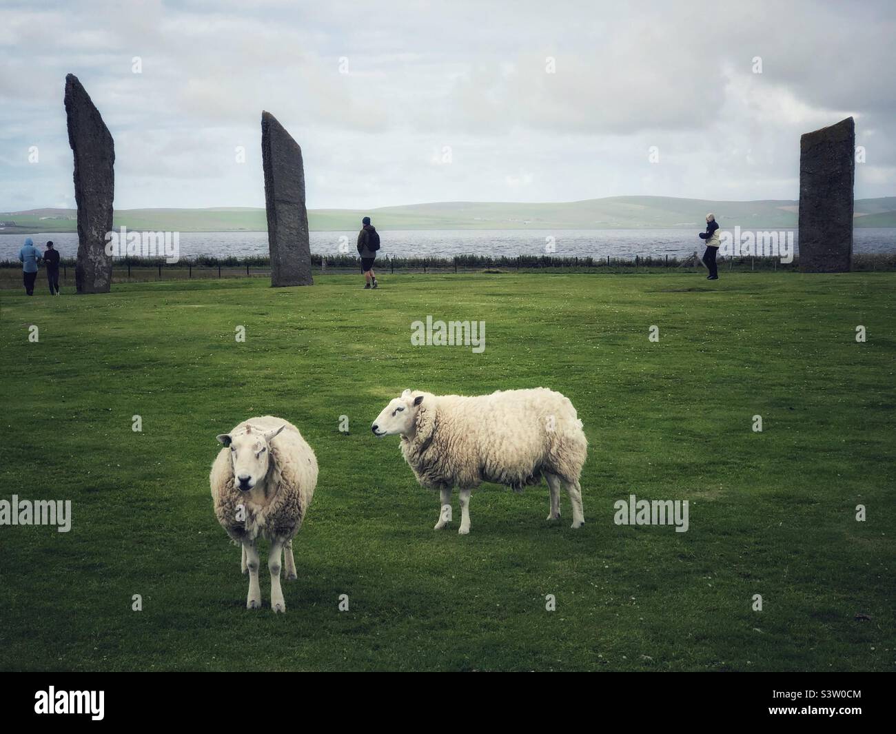 Standing stones of Stenness, Orkney, Scotland - Smartphone Captured Stock Image