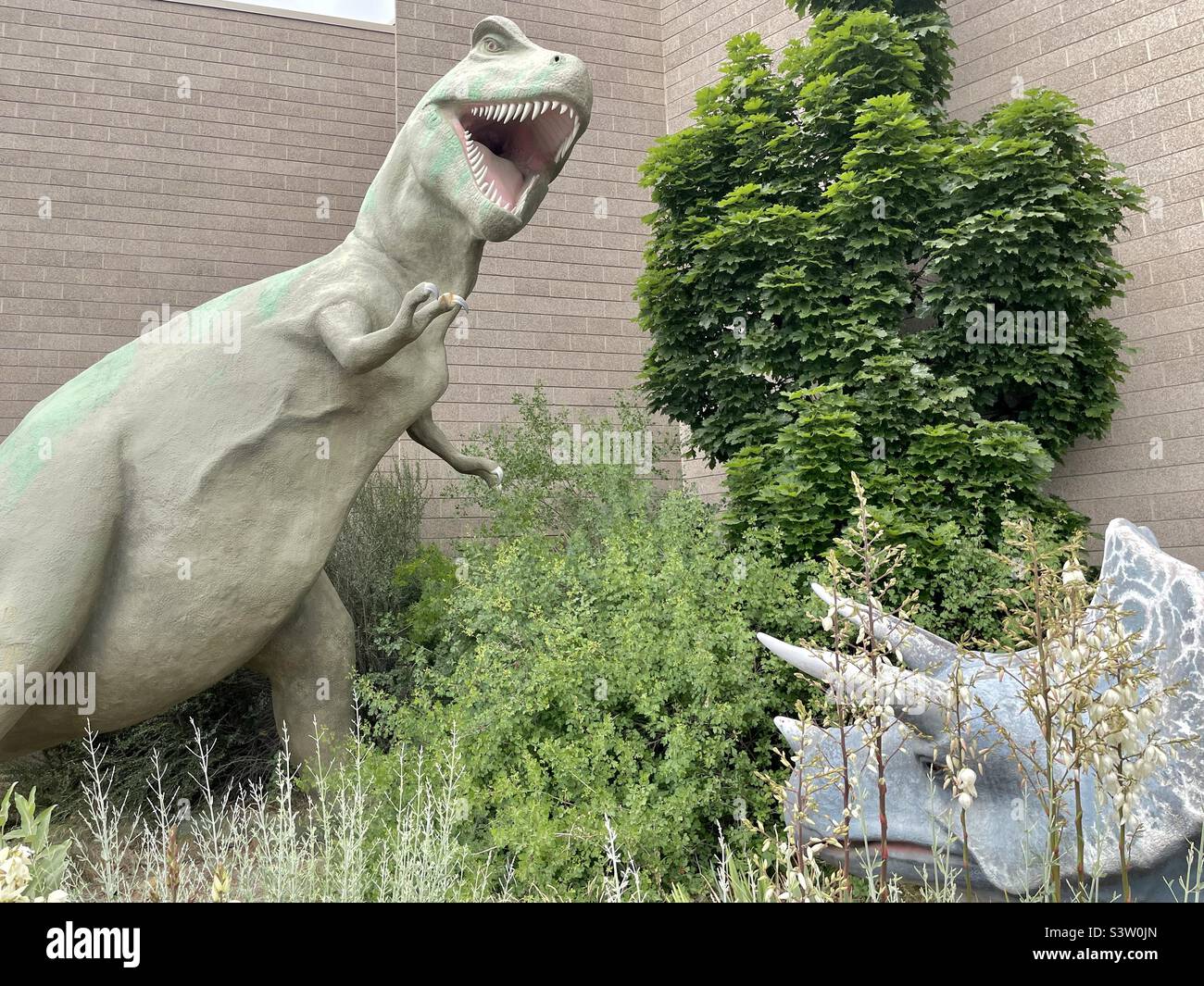 The outdoor courtyard at the Dinosaur Museum in Vernal, Utah, USA has various large dinosaur statues placed throughout the grounds for the enjoyment of guests, especially the little ones. - Smartphone Captured Stock Image