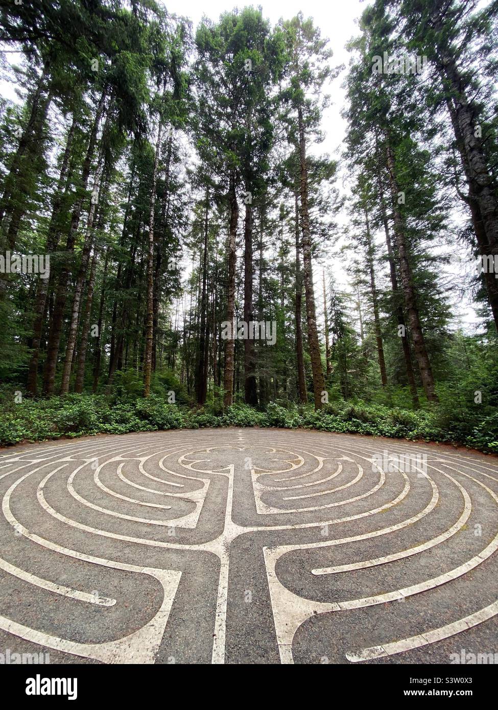 A labyrinth in a forest. Stock Photo