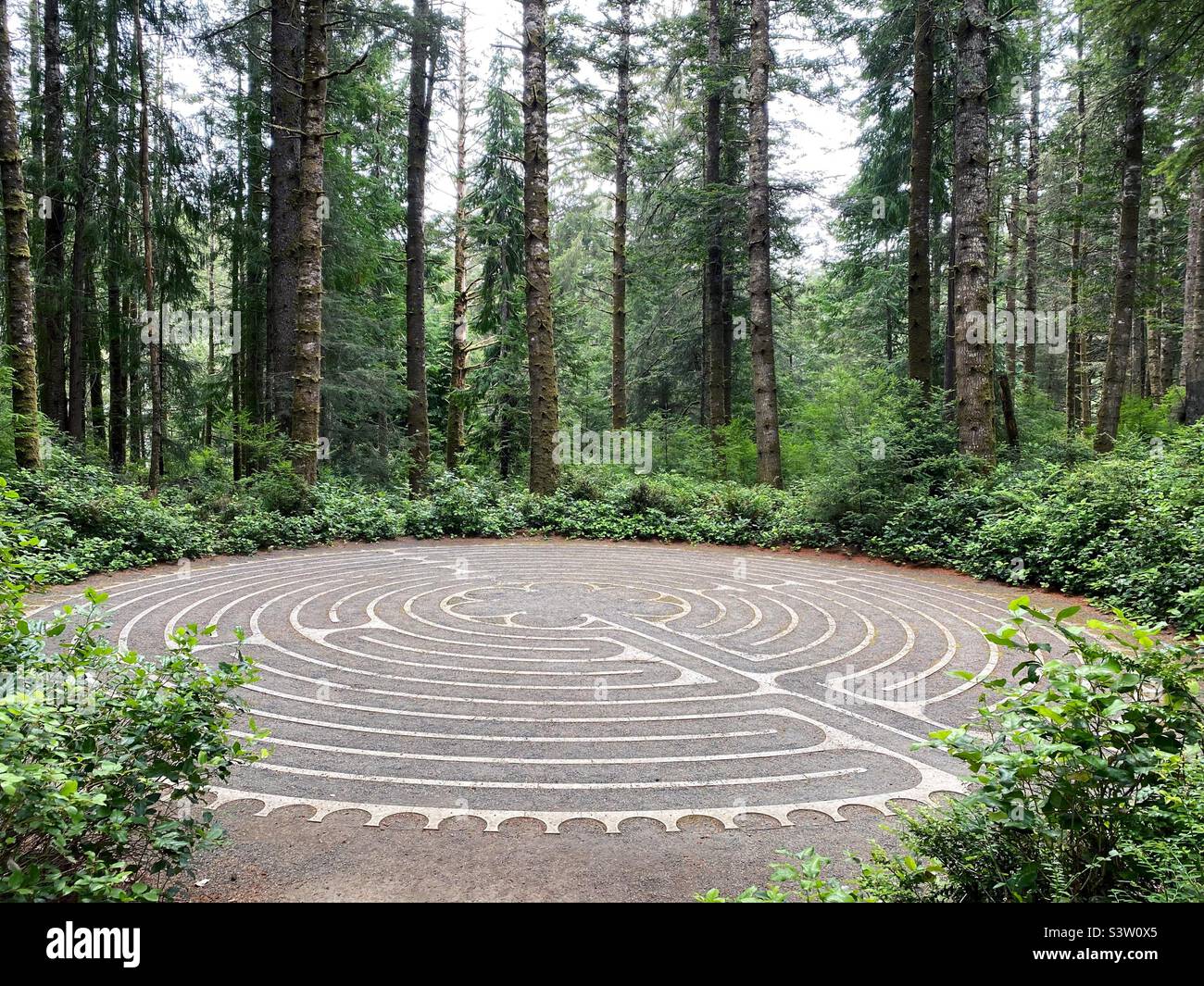 A labyrinth in a forest. Stock Photo