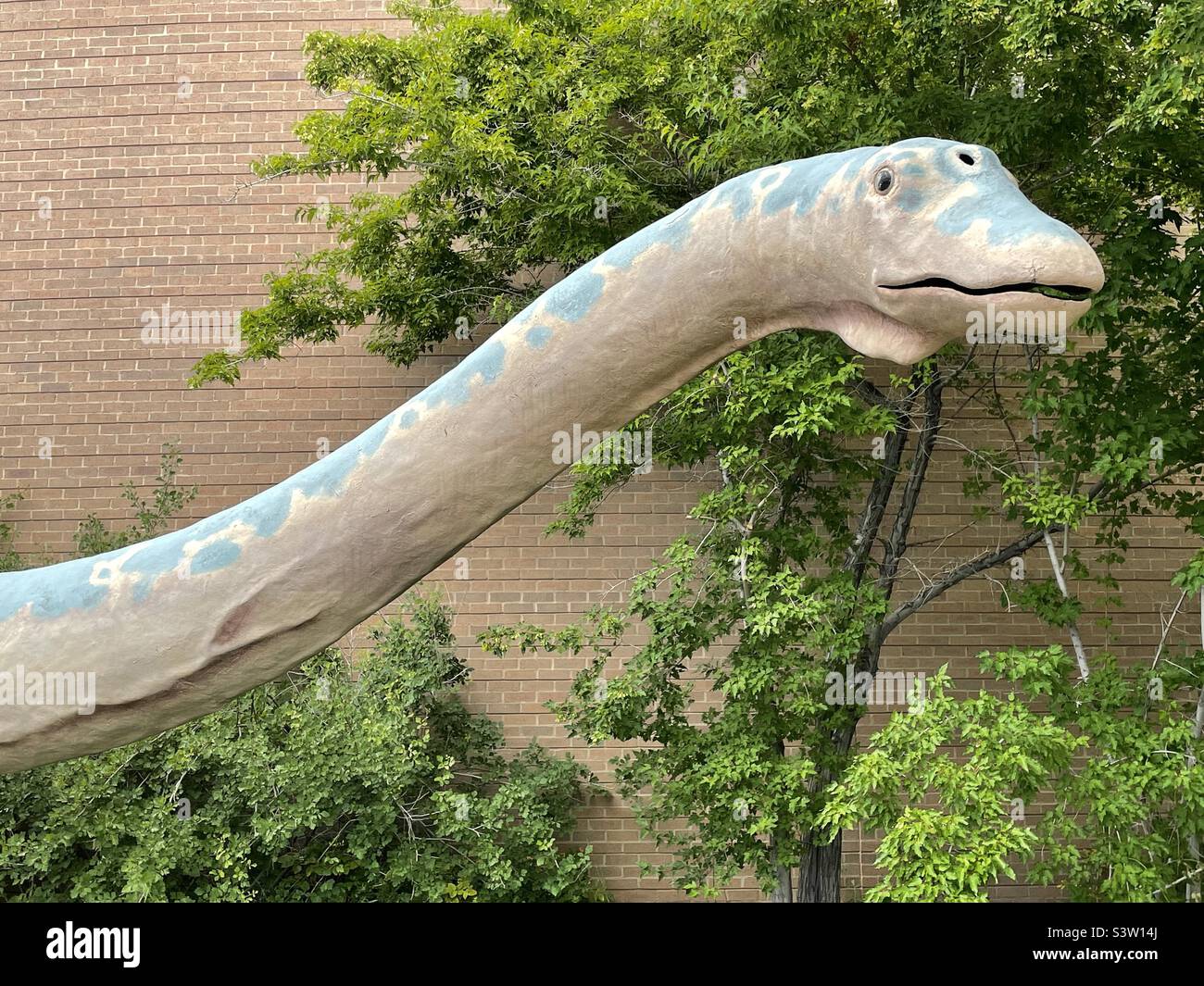 Outdoor plaza and courtyard at the Dinosaur Museum in Vernal, Utah. It’s fun going exploring in these grounds filled with dinosaurs. - Smartphone Captured Stock Image