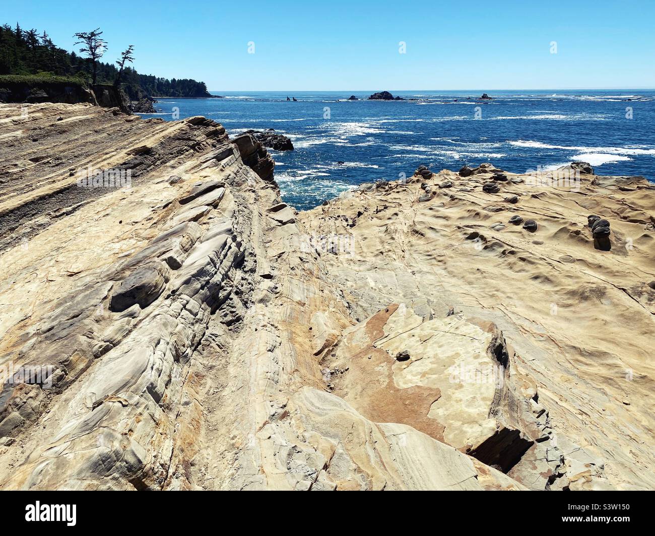 Rock cliff at Shore Acres state park in Coos Bay, Oregon. Stock Photo
