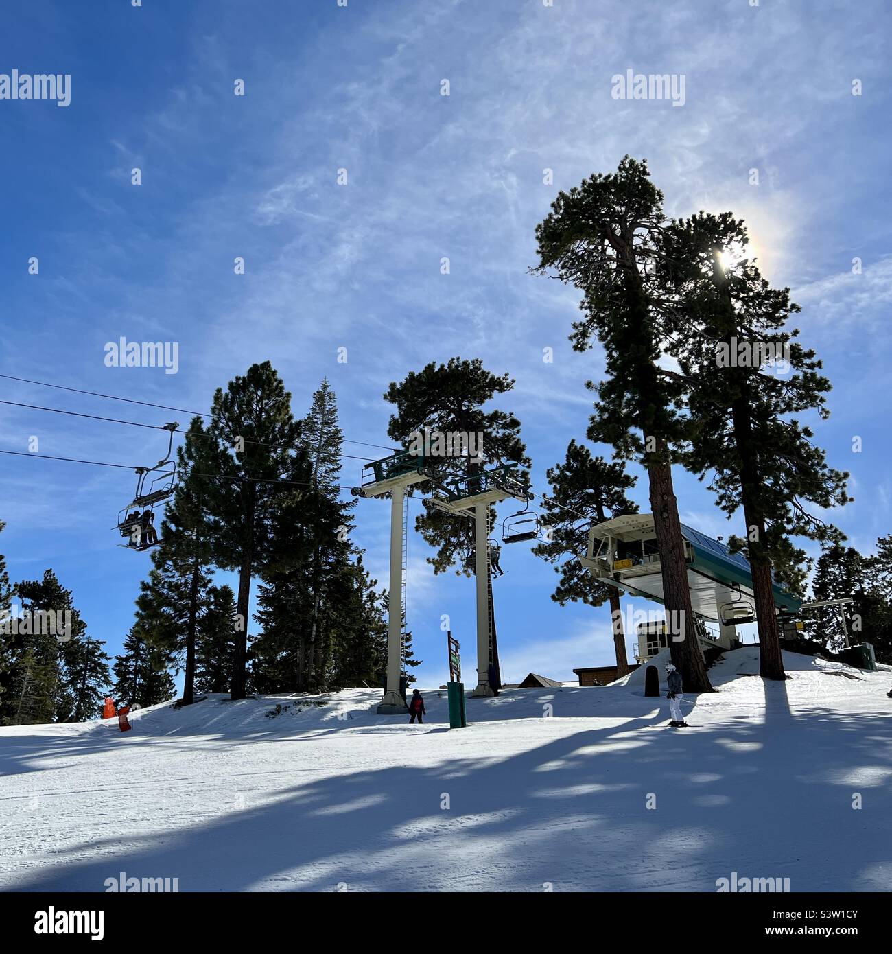 Looking up at top of chair lift for skiers and snowboarders at Big Bear Mountain, California, backlit with low winter sun behind pine trees - Smartphone Captured Stock Image