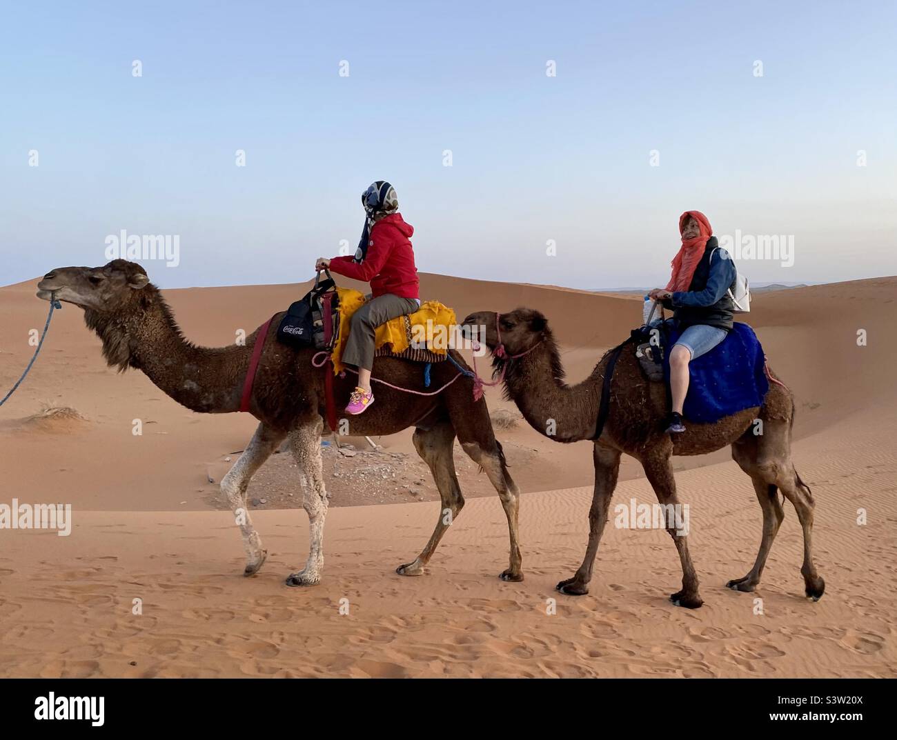 Two female tourists on camel riding tour in the Moroccan Desert, Morocco, North Africa - Smartphone Captured Stock Image