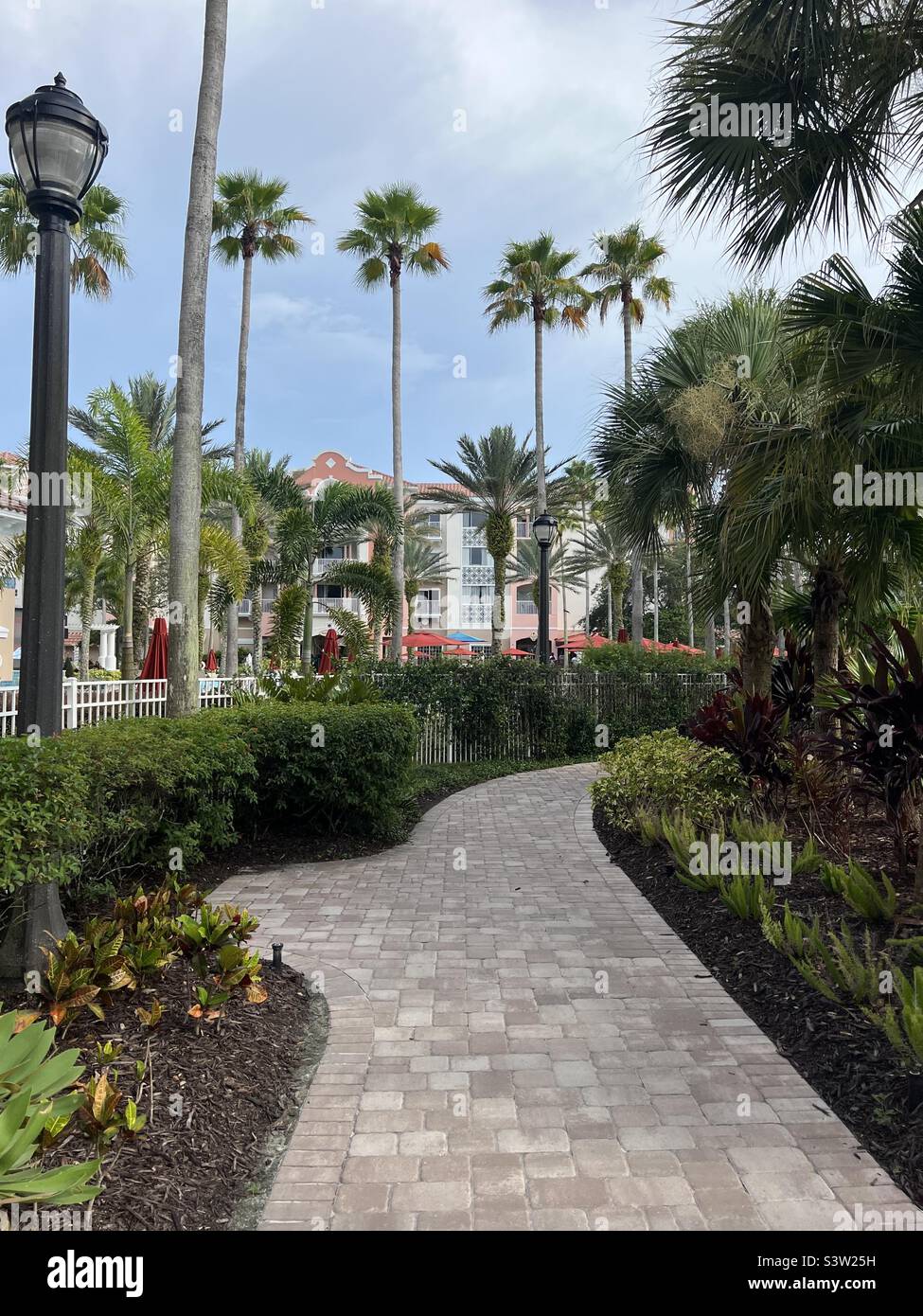 Palm tree tropical walkway Stock Photo
