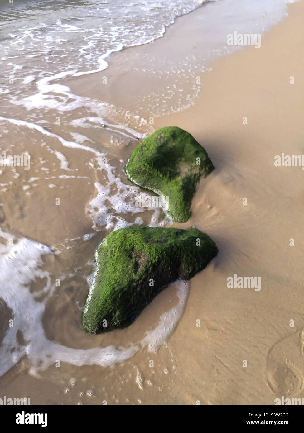 Moss covered rocks in the sea. Stock Photo